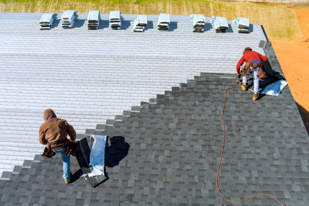 Best Metal Roofing Contractor  in Chandler, IN