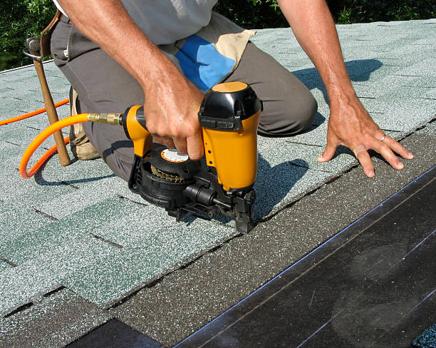 Best Roof Maintenance Services  in Chandler, IN